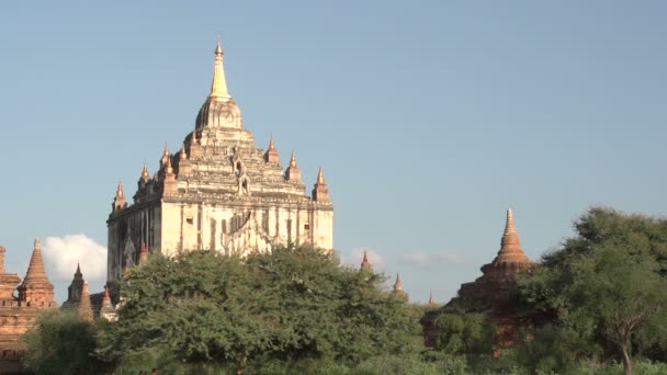 Pagode dourado em Bagan — Vídeo de Stock