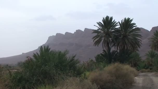 Góry, w dolinie rzeki Wadi Dara — Wideo stockowe