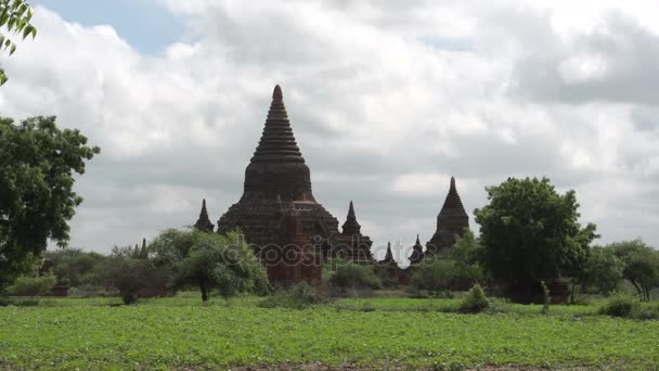 Pagodas in Bagan, Myanmar — Stock Video