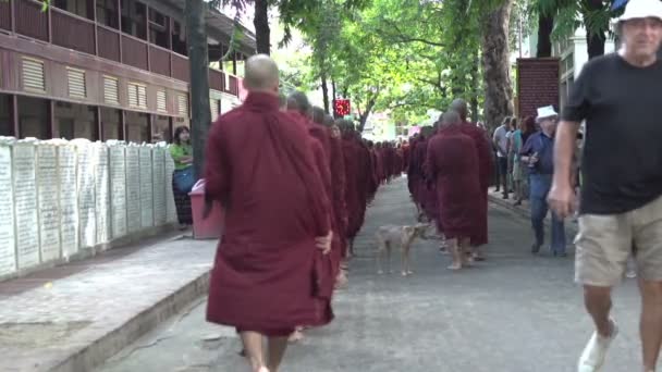 Mnisi Shwemokehtaw Pagoda — Wideo stockowe