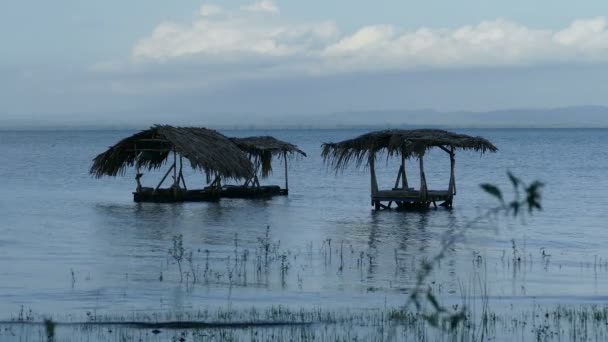 湖のオメテペ島で洗浄家 — ストック動画