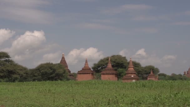 Pagodas en Bagan, Myanmar — Vídeo de stock