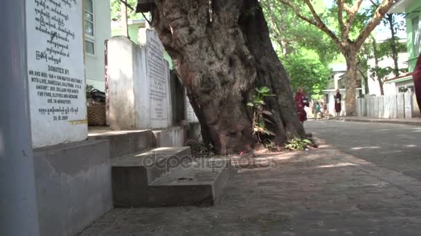 Szerzetesek a Shwemokehtaw Pagoda — Stock videók