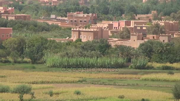 Kasbah, Valle del Dades — Video Stock