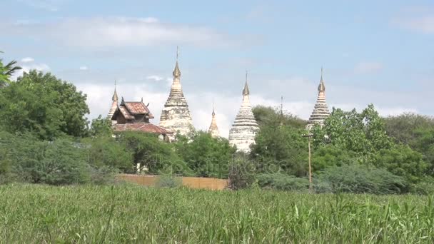 Pagodes in Bagan, Myanmar — Stockvideo