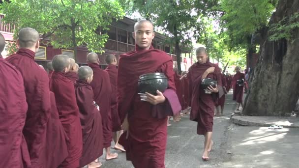 Mniši v Shwemokehtaw Pagoda — Stock video