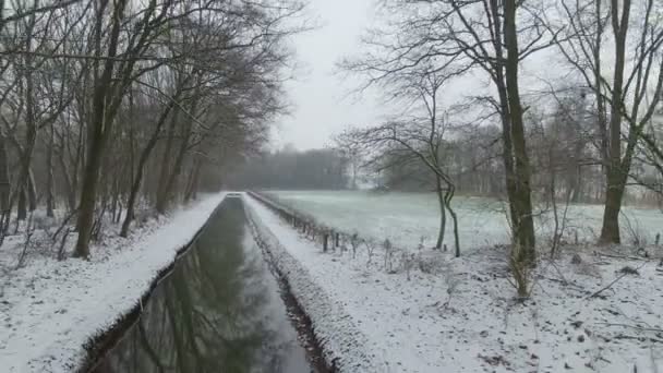 Niederländische Winterlandschaft — Stockvideo