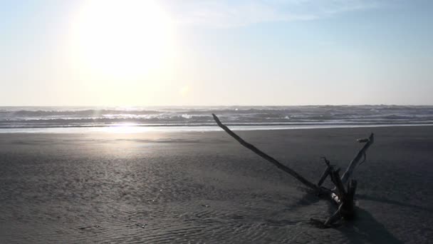 拉古纳海滩日出 — 图库视频影像