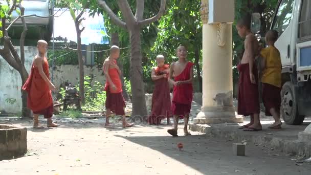 Mnisi Shwemokehtaw Pagoda — Wideo stockowe