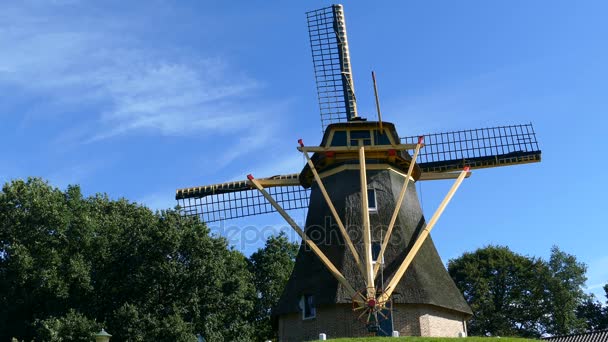 Mulino a vento olandese su piccola collina — Video Stock