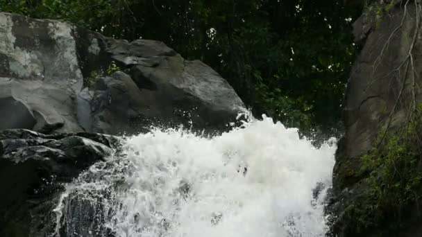 Vattenfall i djungeln Selva Negra — Stockvideo