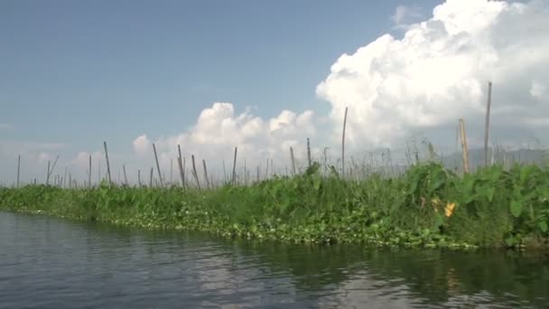 Loď kolem vysokou rychlostí — Stock video