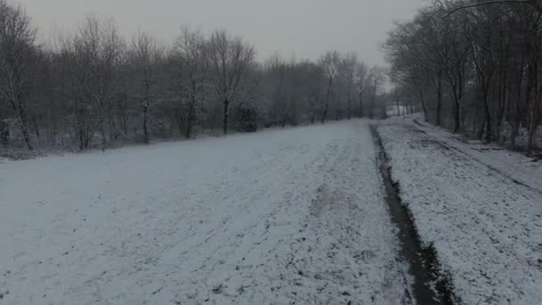 Holenderski zimowy krajobraz — Wideo stockowe