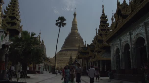 사람들이 지나가는 Shwedagon 파고다 — 비디오