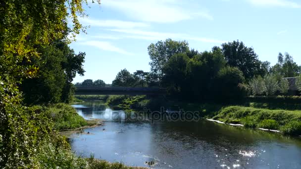 Rivier brug en boot in Nederlandse landschap — Stockvideo