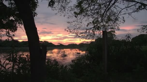 Pantanal Pôr Sol Nas Zonas Húmidas Pantanal — Vídeo de Stock