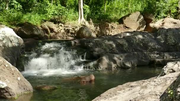 Вид на водопад в джунглях — стоковое видео