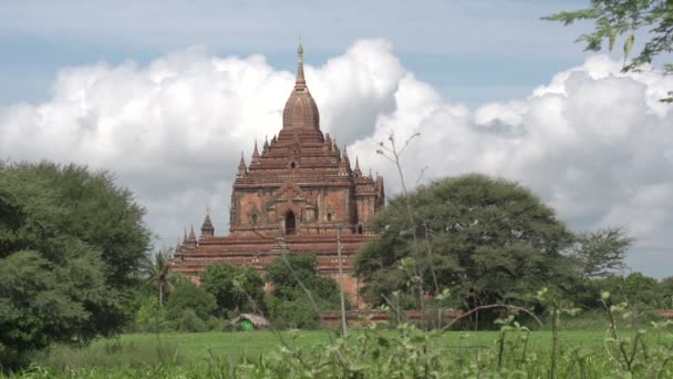 Sulamani chrám, myanmar — Stock video