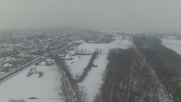 オランダの冬の風景 — ストック動画