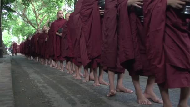 Moines à la pagode Shwemokehtaw — Video