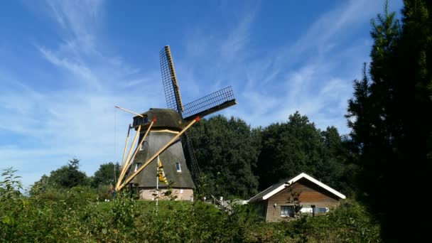 Holländsk väderkvarn på liten kulle — Stockvideo