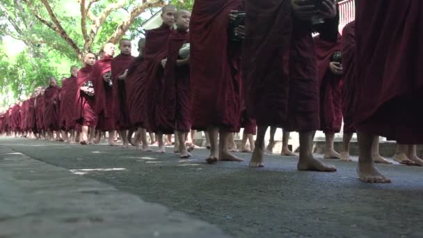 Moines à la pagode Shwemokehtaw — Video