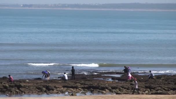 Images Pêche Mer Plage — Video