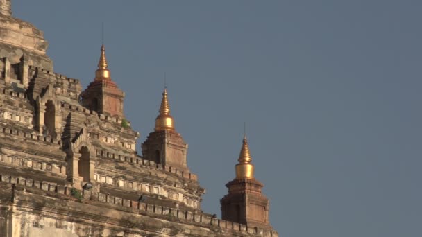 Tempio di Gawdawpalin, Myanmar — Video Stock