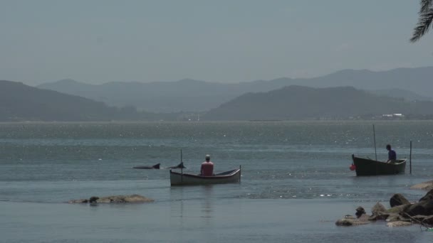 Laguna, fiskare i båtar — Stockvideo