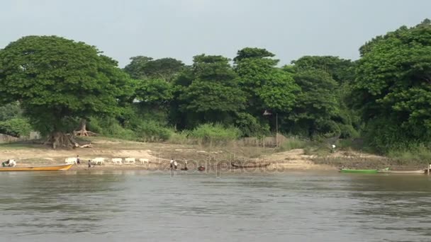 Aldeias de pescadores ao longo do rio — Vídeo de Stock