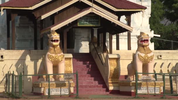 Lion statues at entrance of pagoda — Stock Video