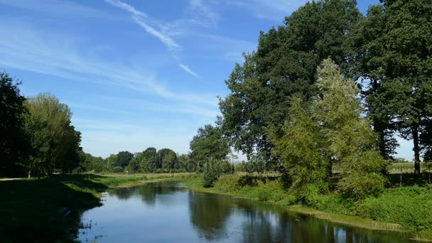 Река в голландском пейзаже — стоковое видео