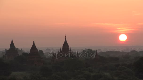 Καταπληκτική ανατολή του ηλίου σε Bagan — Αρχείο Βίντεο