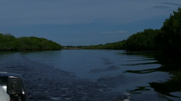 Riserva naturale dell'isola Juan Venado — Video Stock