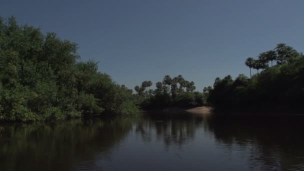 Pantanal, passeios de barco no rio — Vídeo de Stock