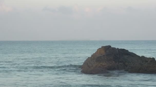 Barco de pesca en Bahía de Bengala — Vídeo de stock