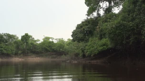 Pantanal, żegluga na rzece — Wideo stockowe