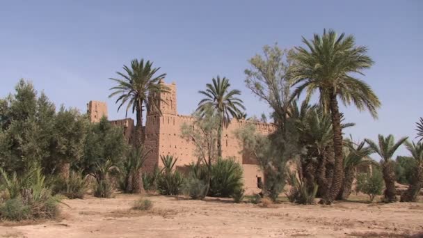 Kasbah a Skoura — Video Stock