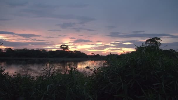 Pantanal Západ Slunce Mokřady Pantanal — Stock video