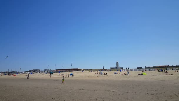 海滩上的人们风筝 — 图库视频影像