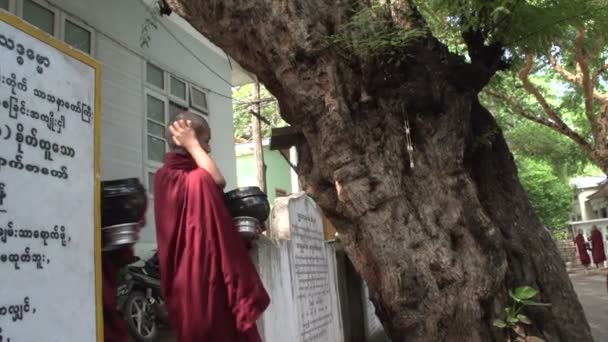 Монахи пагоды Швемокехта — стоковое видео