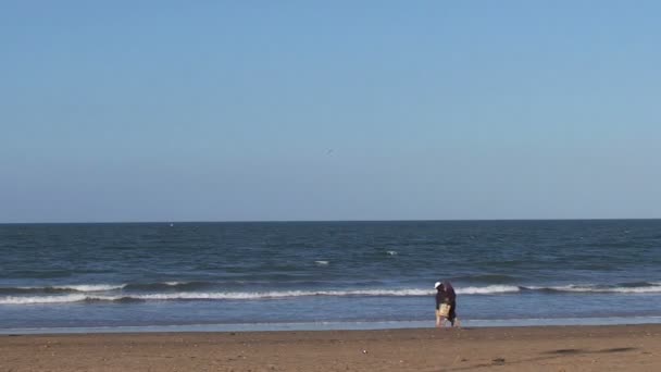 Gente corriendo en la playa — Vídeo de stock