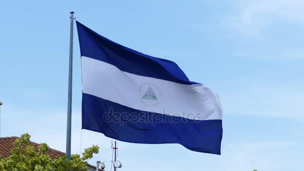 Nationella flagga nicaragua — Stockvideo
