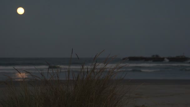 Laguna, Lever de soleil à la plage — Video