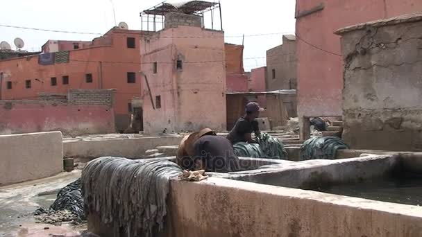 Koželužna dělníci v Marrakech — Stock video