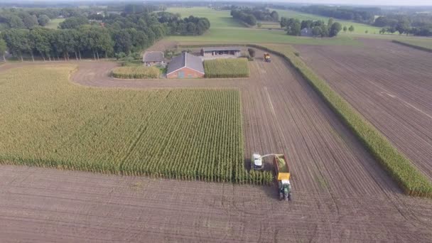 Agricultura máquina de cortar milho — Vídeo de Stock