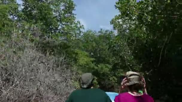 Reserva Natural Isla Juan Venado — Vídeo de stock