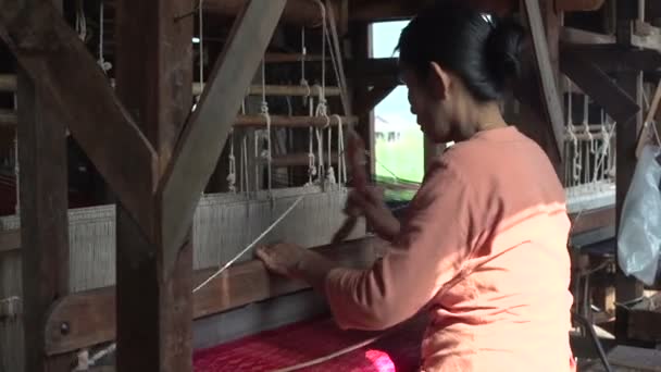 Processo di lavorazione della fabbrica di tè — Video Stock