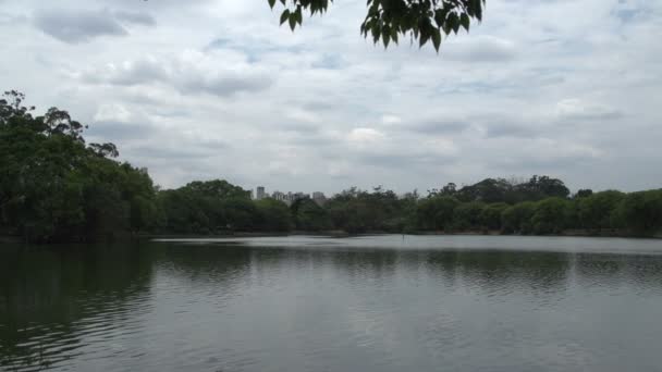 São Paulo, horizonte do parque Ibirapuera — Vídeo de Stock