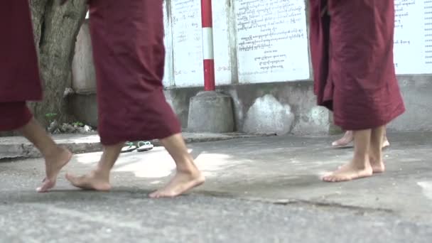 在 Shwemokehtaw 寺的僧侣 — 图库视频影像
